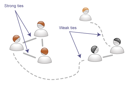 Network of Social ties